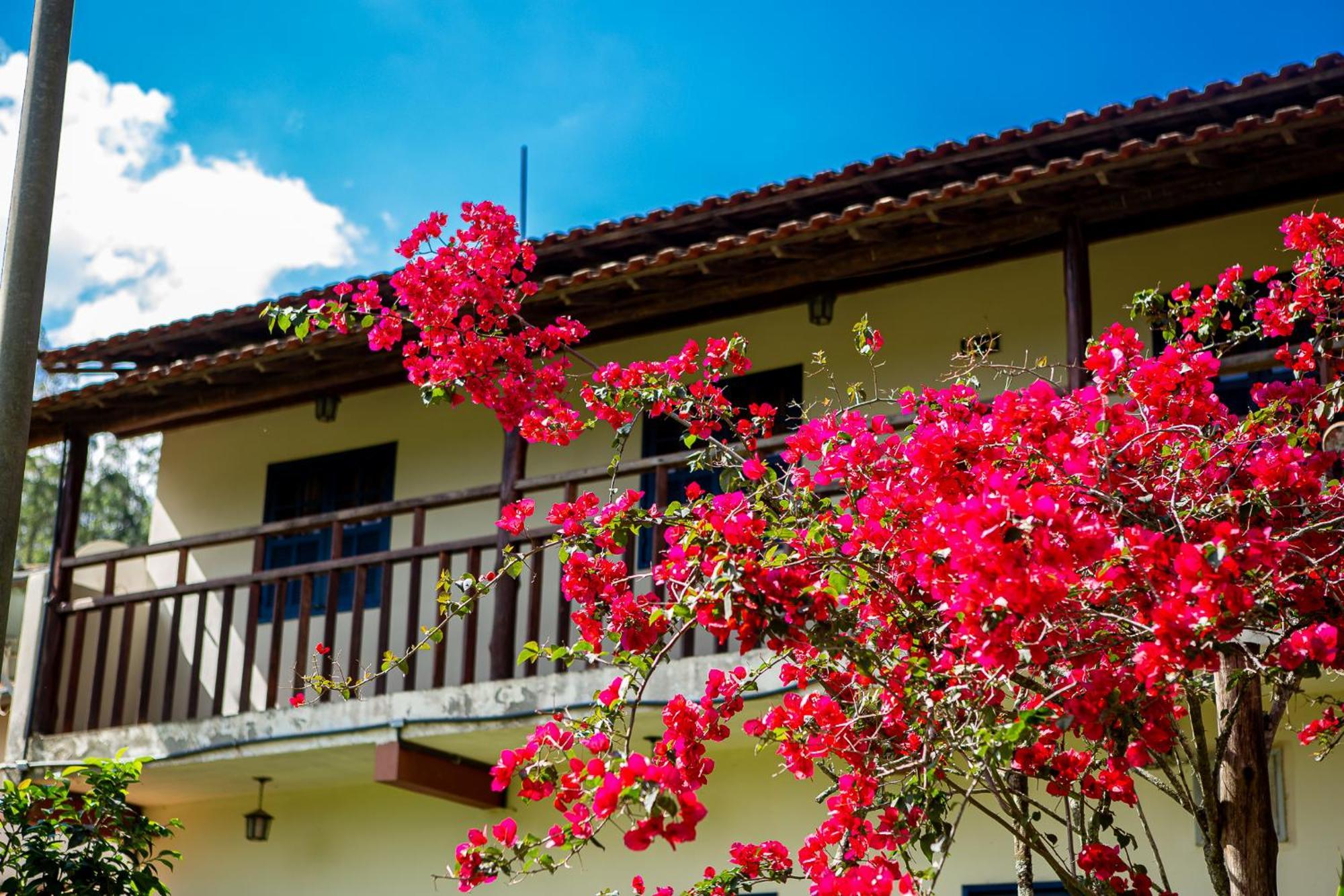 Fazenda Hotel Alvorada Santos Dumont Exteriér fotografie