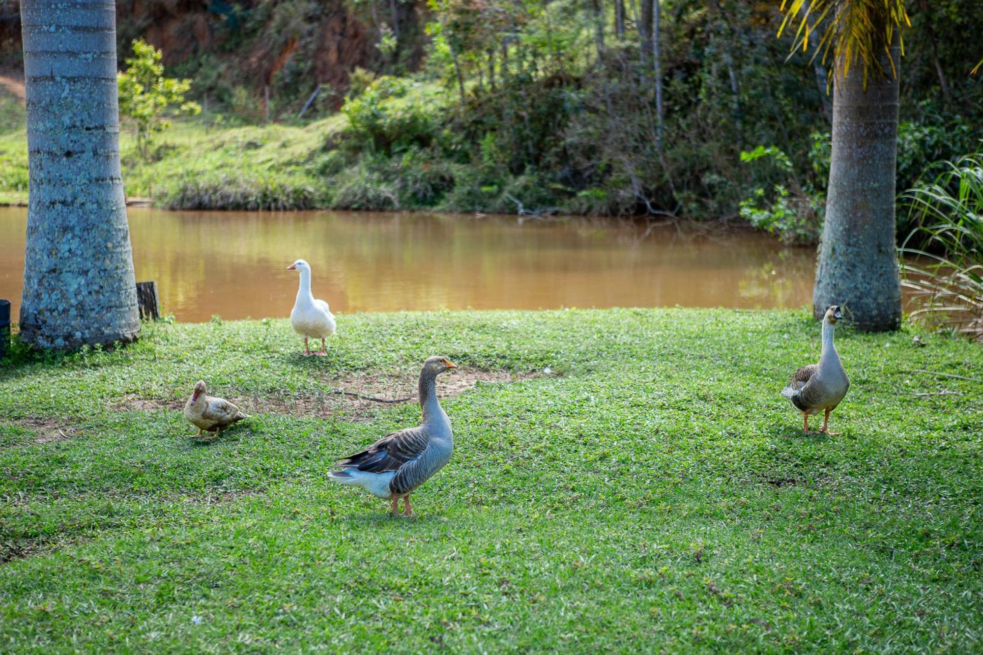 Fazenda Hotel Alvorada Santos Dumont Exteriér fotografie